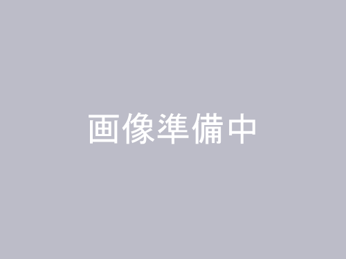 画像準備中 -img-